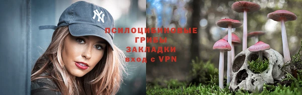 соль курить ск Козловка