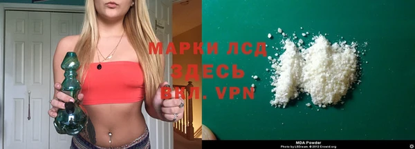 индика Краснослободск