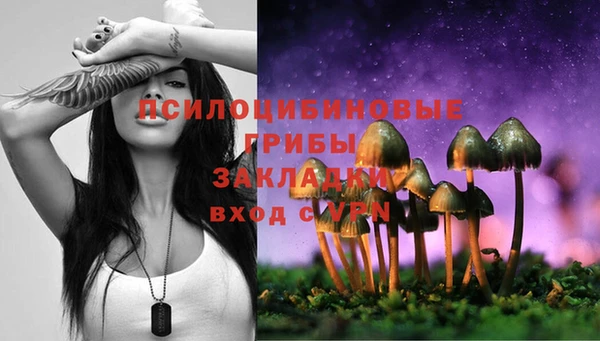 а пвп мука Болхов