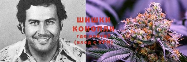 2c-b Козельск