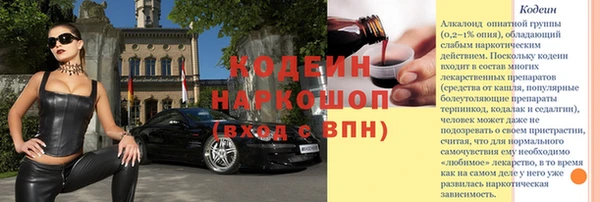 СК Кодинск